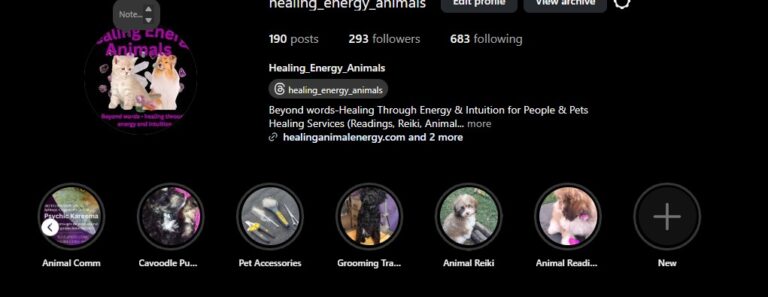 Read more about the article Sell out your offer in 7 days with Instagram Stories