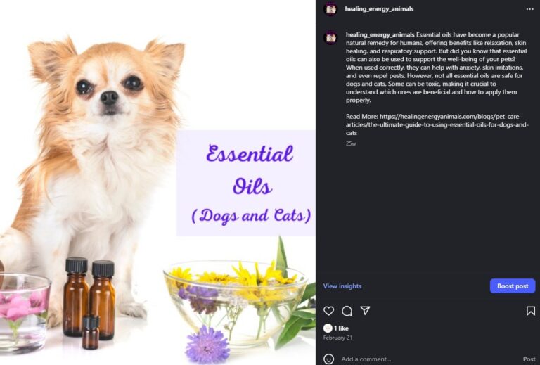 Read more about the article Adding an external link to an Instagram Post