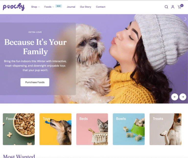 Read more about the article Starting an online store